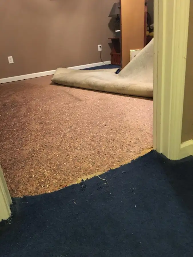 Carpet pad removal revealing water damage during Drying & Dehumidification in Steger