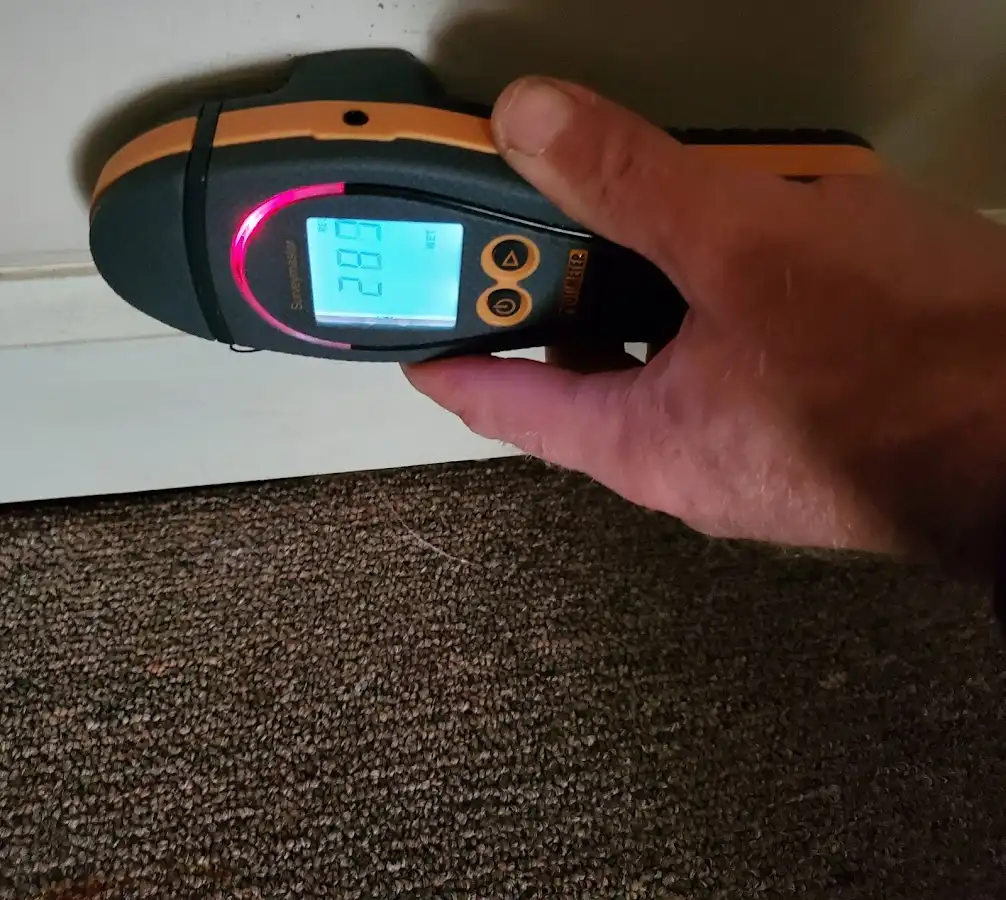 Moisture detection at baseboard during Sewage Cleanup & Sanitation in Steger